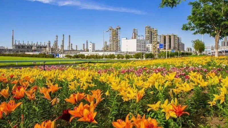 塑料原料代理商进货价格：如何把握市场脉搏，确保采购效益